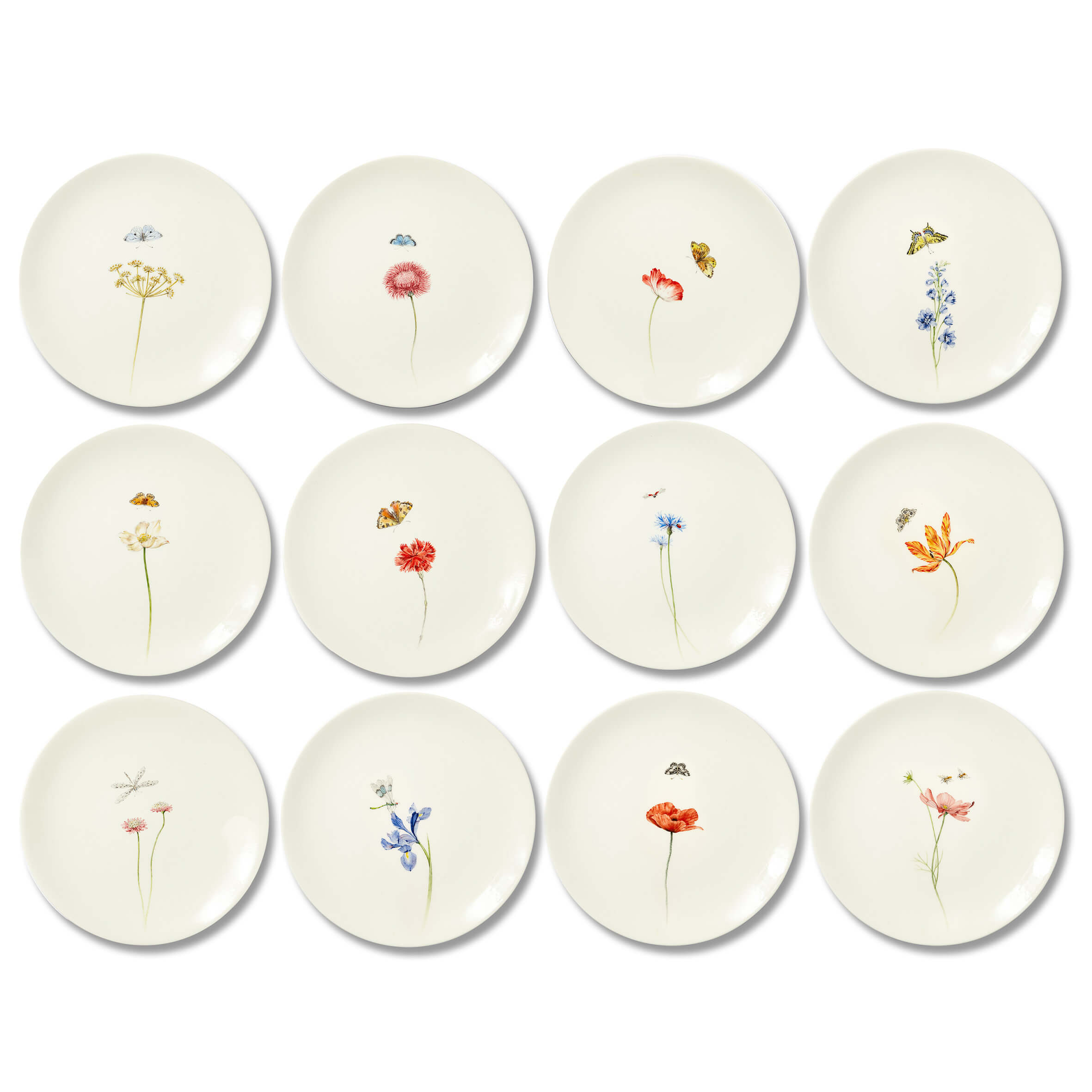 Laboratorio Paravicini Bloom - Set